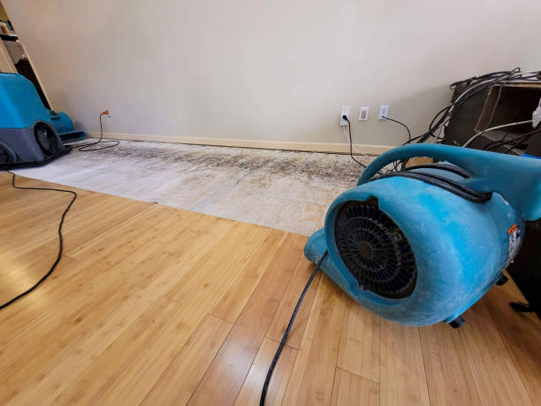 Professional Structural Drying technician working in Manchester, PA